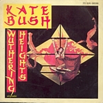 kate bush